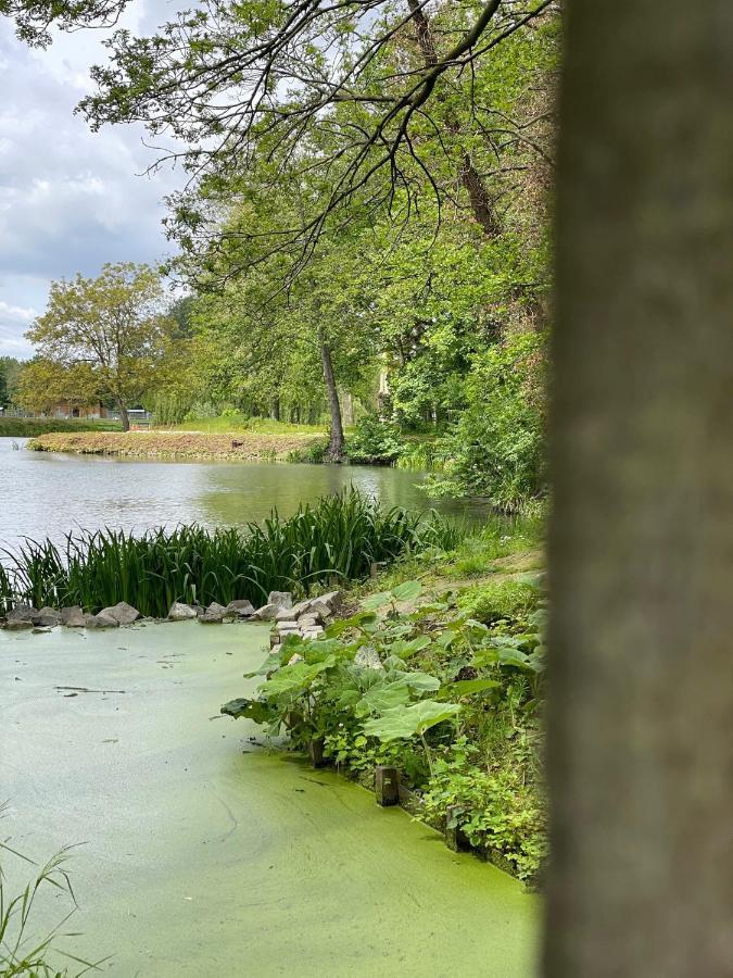 Vakantiehuis Cerise, Luxueus Genieten In De Leiestreek Deinze Kültér fotó
